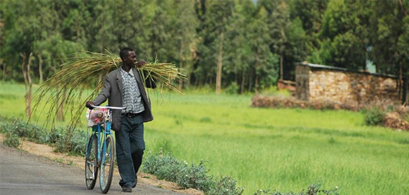 Ethiopia- Road to resilience