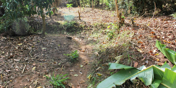 Edward diverts the water from the road to his land through this channel