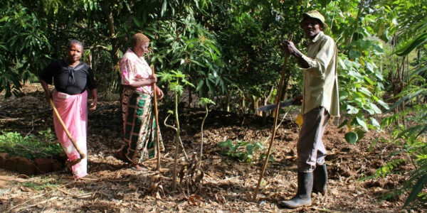 Edward on his shamba with his wife and sister in law